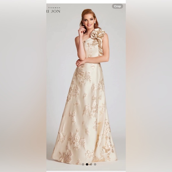 Terri Jon Cream and Gold Embroidered Dress - Picture 1 of 4